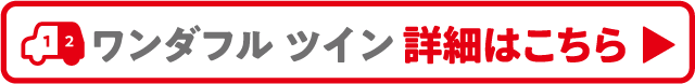 ワンダフル ツイン 詳細はこちら ▶︎